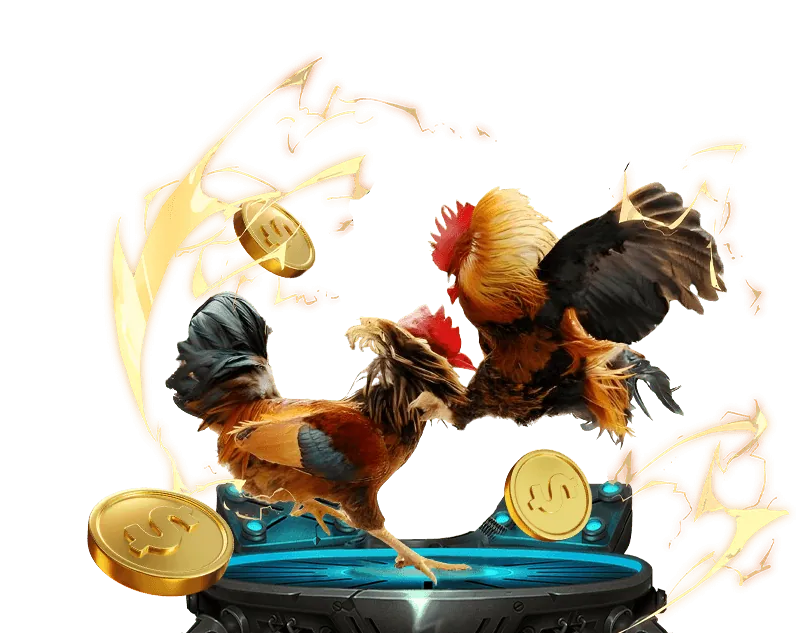 Các loại kèo cược đá gà trên mm88 app